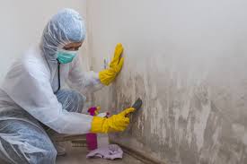 Best Forensic Mold Investigation  in Fredonia, AZ